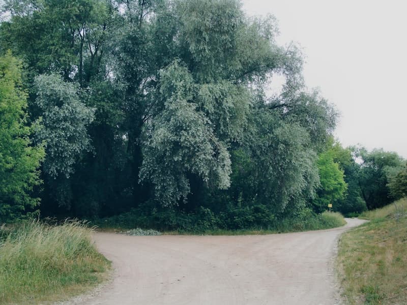 Sober Living vs. Halfway House — What's the Difference?